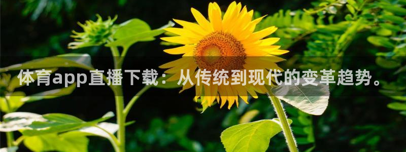 乐球直播免费体育直播nba：体育app直播下载：从传统到现代的变革趋势。