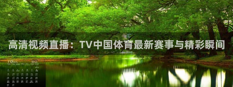 乐球吧nba篮球直播：高清视频直播：TV中国体育最新赛事与精彩瞬间