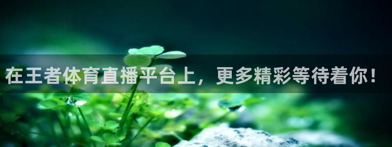 乐球tv直播app下载：在王者体育直播平台上，更多精彩等待着你！