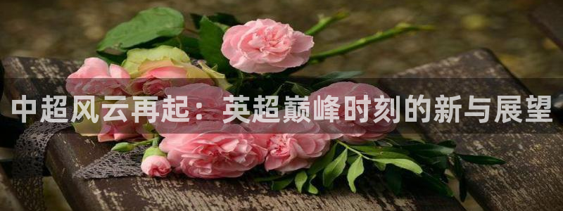 乐球体育在线直播：中超风云再起：英超巅峰时刻的新与展望