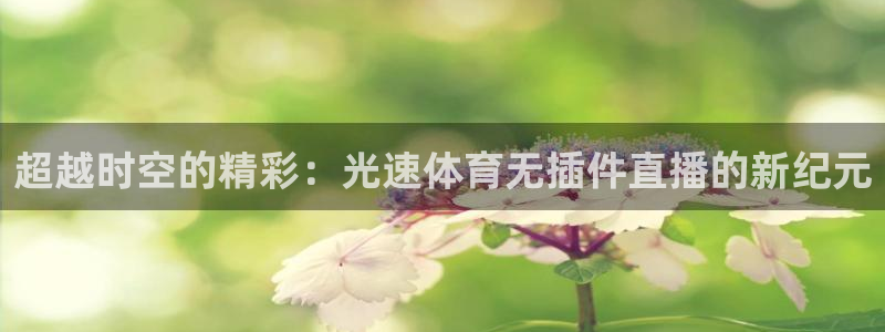 乐球直播网站：超越时空的精彩：光速体育无插件直播的新纪元