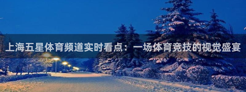 乐球吧在线直播观看：上海五星体育频道实时看点：一场体育竞技的视觉盛宴