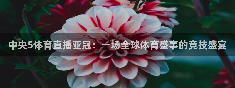 nba直播360乐球直播：中央5体育直播亚冠：一场全球体育盛事的竞技盛宴