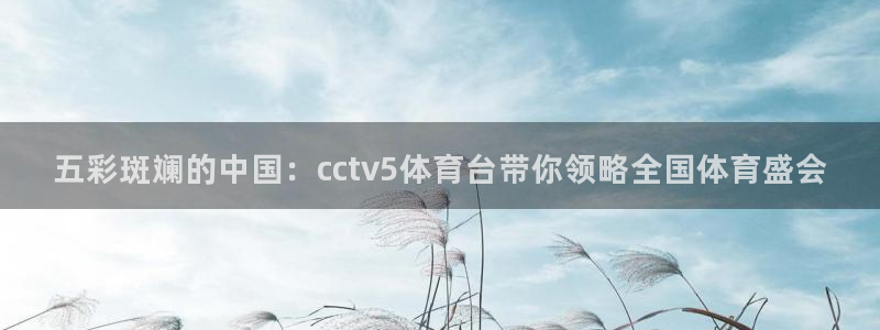 乐球吧jrs手机直播：五彩斑斓的中国：cctv5体育台带你领略全国体育盛会