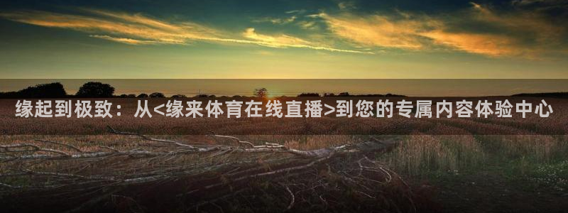 雨燕乐球直播nba：缘起到极致：从<缘来体育在线直播>到您的专属内容体验中心