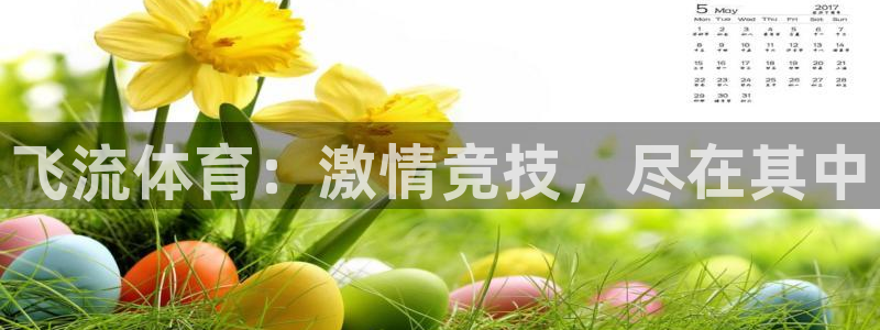 nba免费直播乐球直播：飞流体育：激情竞技，尽在其中