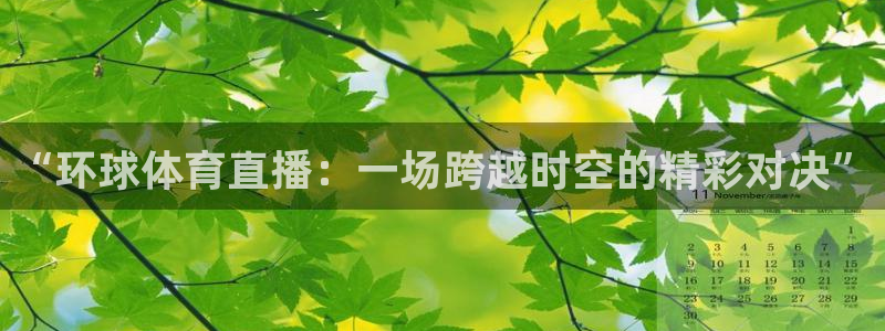 乐球直播免费高清观看：“环球体育直播：一场跨越时空的精彩对决”