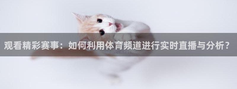 乐球直播全球赛事：观看精彩赛事：如何利用体育频道进行实时直播与分析？