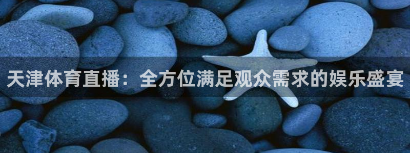 乐球直播在线看：天津体育直播：全方位满足观众需求的娱乐盛宴
